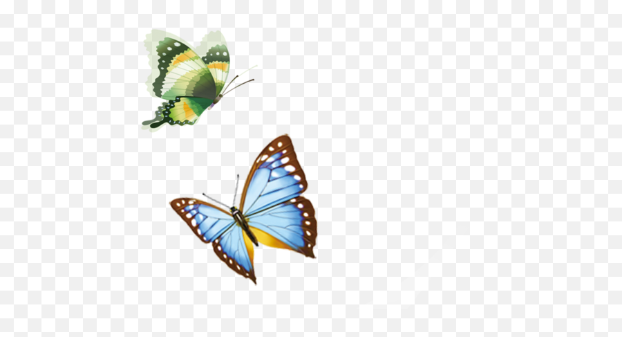 Butterfly Flying Png Download - Mariposas Volando Png,Real Butterfly Png
