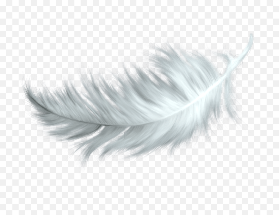 White Feather Transparent Png - White Feather Png,Black Feather Png