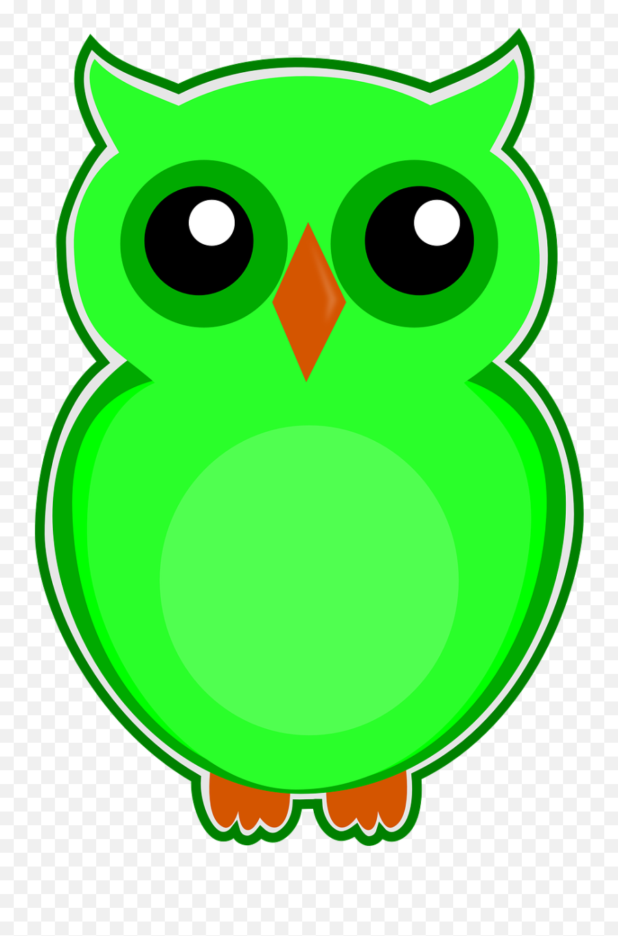 Owl Green Bird - Owls Png Clipart Eksen,Owls Png