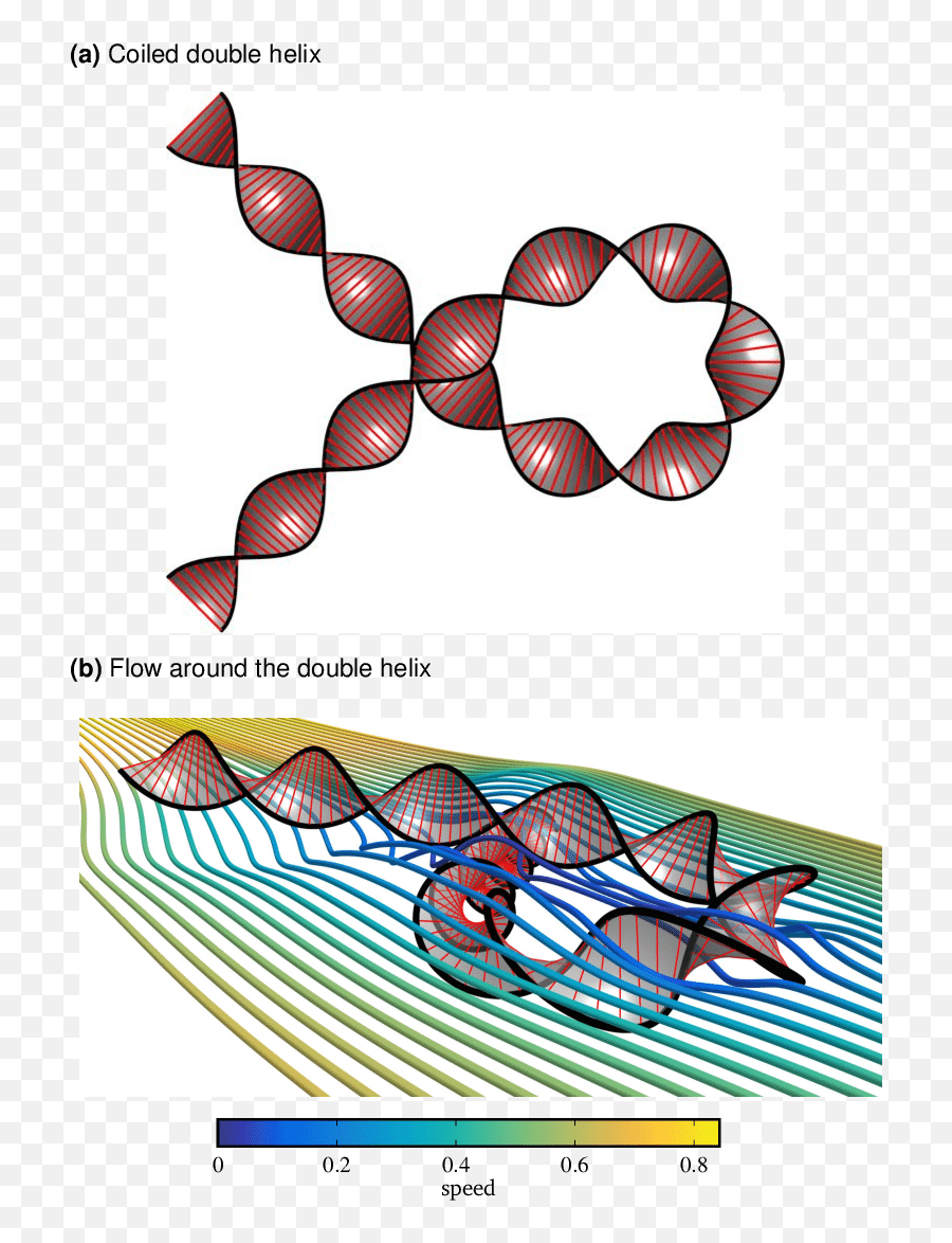 Plan View Of A Double Helix With - Clip Art Png,Double Helix Png