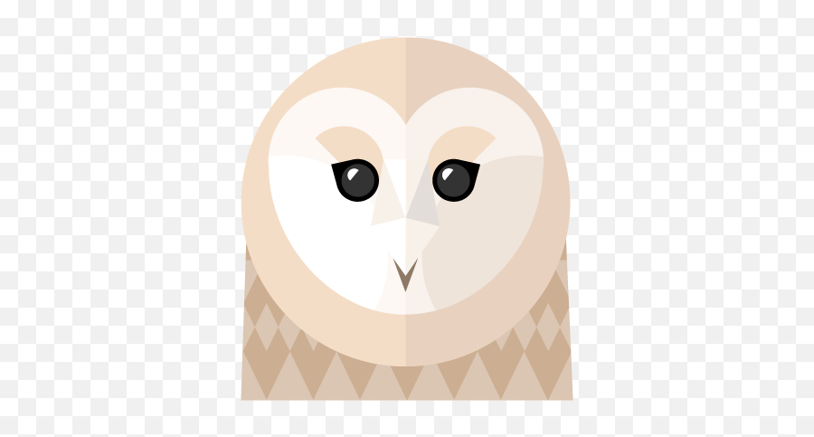 Barn Owl Png - Illustration,Barn Owl Png