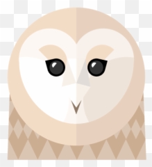 Barn Owl Png - Illustration,Barn Owl Png