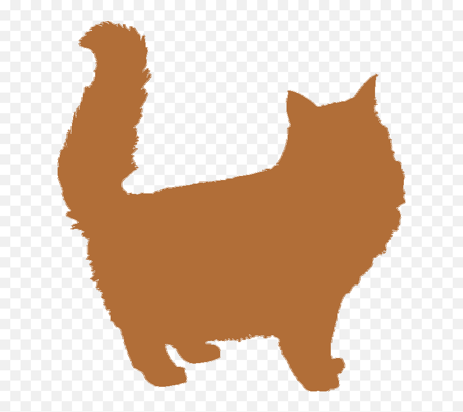 Maine Coon Cat Silhouette - Cat Silhouette Transparent Background Png,Cat Silhouette Png