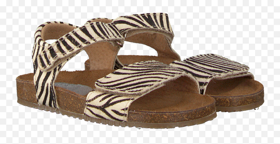 Download Brown Clic Sandals Cl Grass - Slide Sandal Hd Png Slide Sandal,Sandals Png
