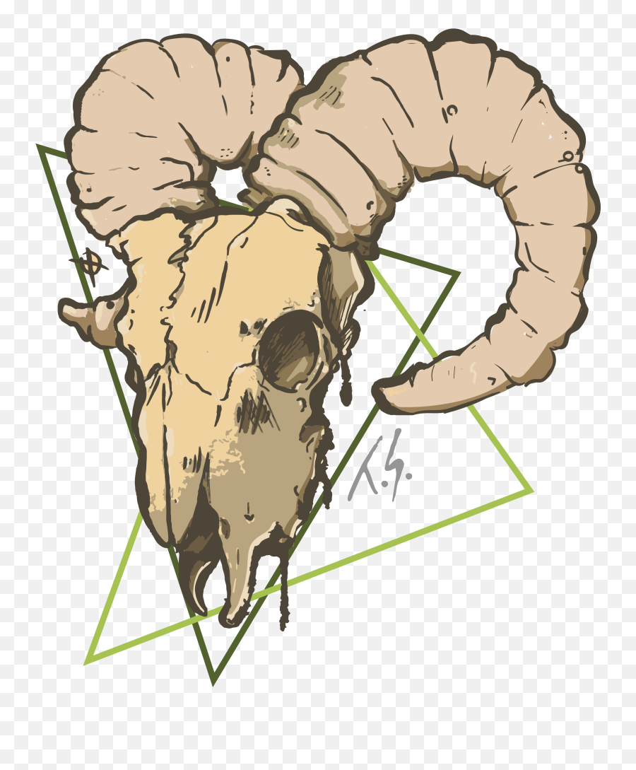 Goat Head - Print Illustration Clipart Full Size Clipart Goat Head Art Transparent Png,Goat Head Png