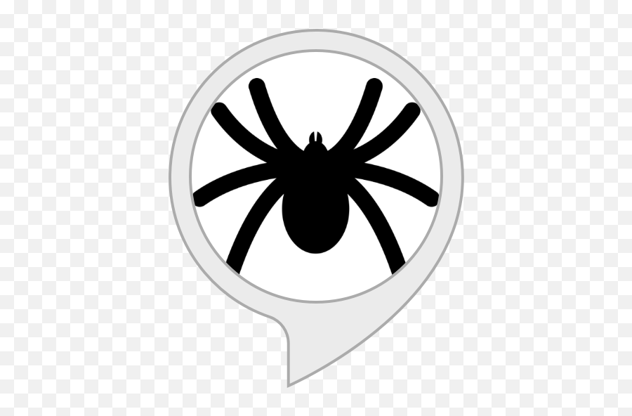 Amazoncom Tarantula Facts Alexa Skills - Animated Spider Png,Tarantula Png