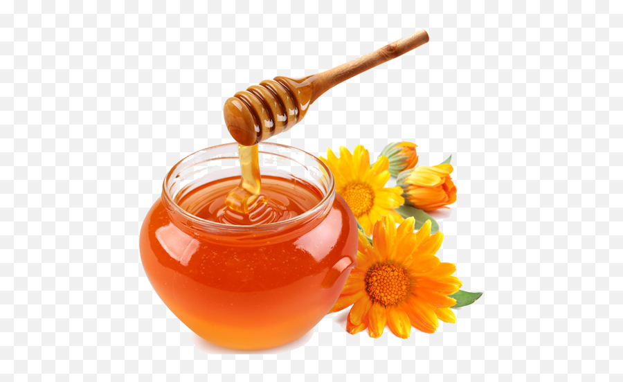 Honey Png - Transparent Background Honey Png,Honey Png