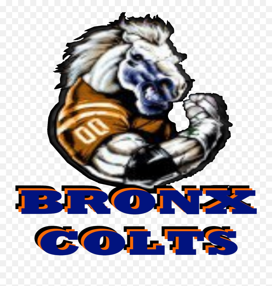 Indianapolis Colts Logo Poster - Bronx Colts Png,Indianapolis Colts Logo Png