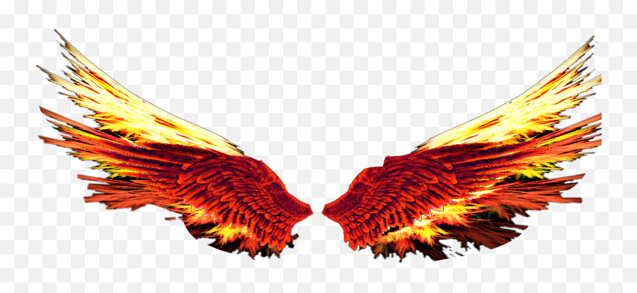 Popular And Trending Firewings Stickers - Tekken 6 Devil Jin Png,Fire Wings Png