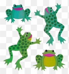 Download Transparent Frogs Hd Png - uokplrs
