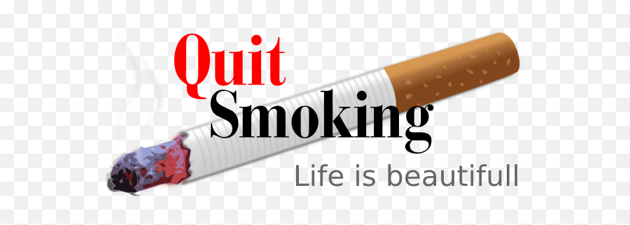 No Smoking Quit Clip Art - Protect Your Respiratory And Circulatory System Png,Smoke Clipart Transparent
