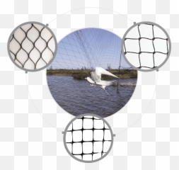 Netting Png - Lake Bird Netting Fishing 1343989 Mesh
