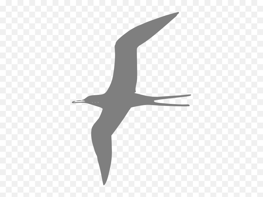 Flying Bird Grey Png Clip Arts For Web - Clip Arts Free Png,Flying Birds Png