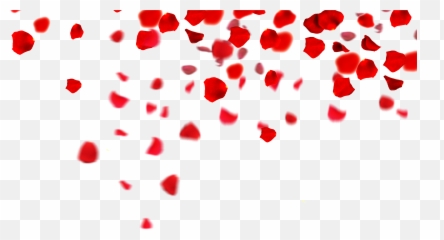 Rose Petals Floating Material Png - High Resolution Transparent Background