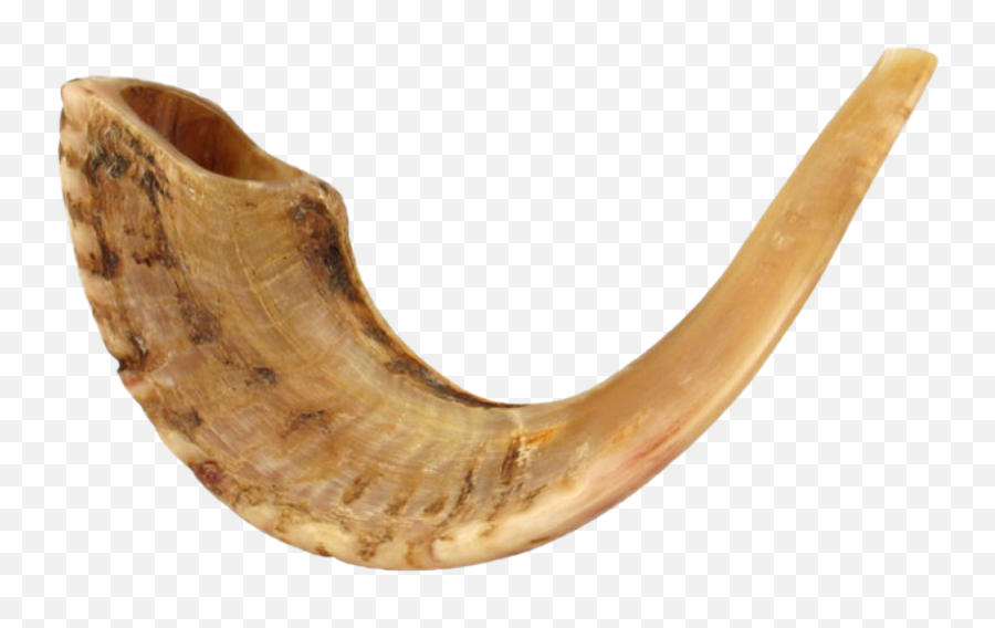 Shofar Horn Png Transparent Image - Shofar Instrument Of Israel,Horn Png