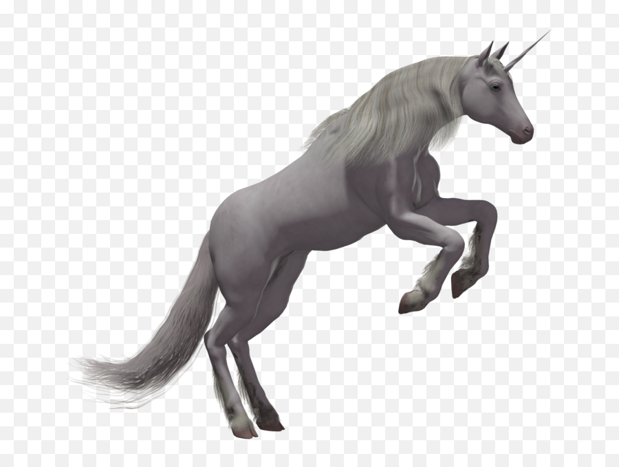 Unicorn Png - Real Unicorn Transparent Background,Transparent Unicorn