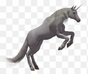 Unicorn Png - Real Transparent Background