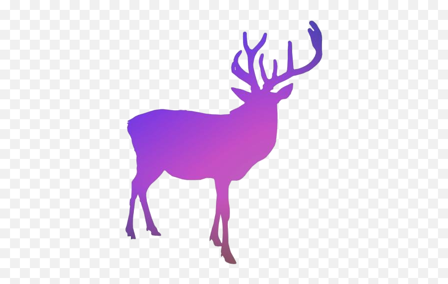 Deer Standing Png Hd Image With Transparent Background - Elk,Deer Icon Png