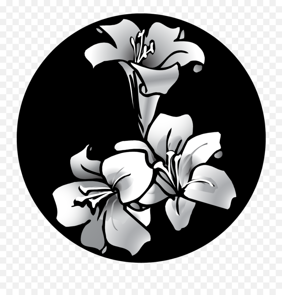Apollo Easter Lily - Black And White Easter Lilies Png,Easter Lily Png
