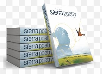 Download Hd Festival Book Stack - Cover Transparent PNG