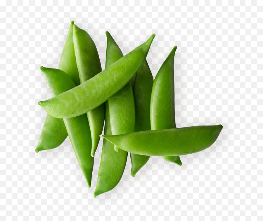 Index Of - Snap Pea Png,Peas Png