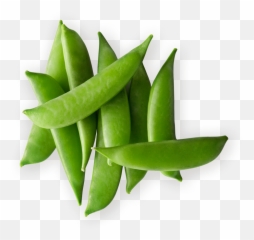 Index Of - Snap Pea Png,Peas Png