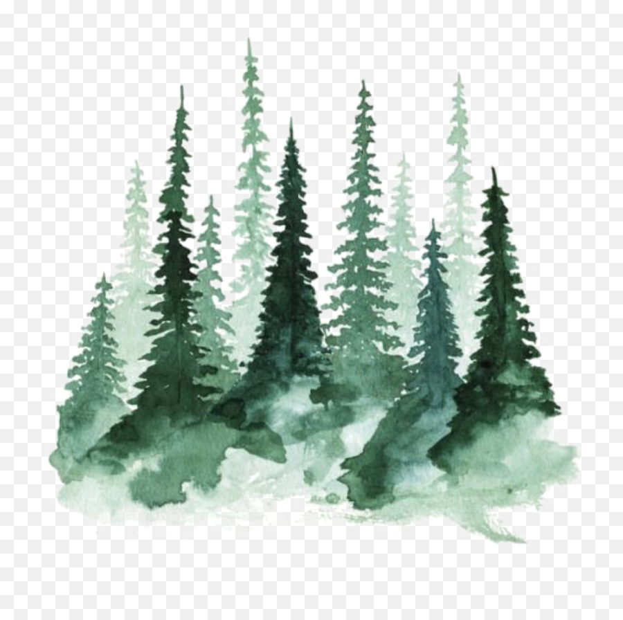 Download Ftestickers Watercolor Trees - Christmas Tree Watercolor Png,Forest Trees Png