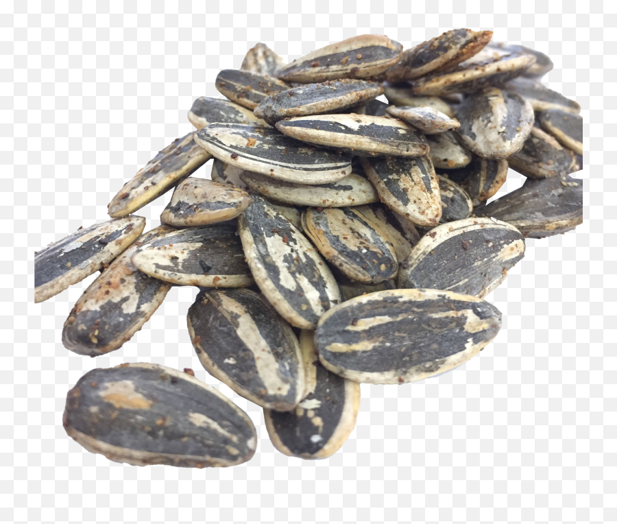 Black Sunflower Seeds Transparent Free - Sunflower Seed Png,Seed Png