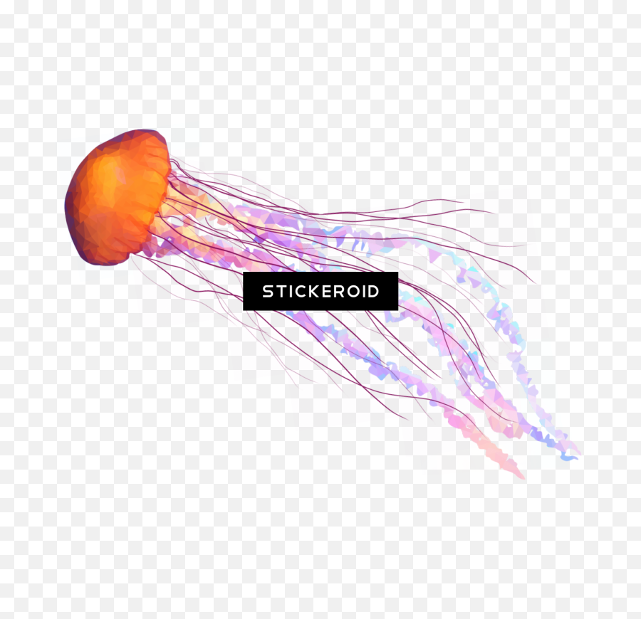 Download Jellyfish Animals - Jellyfish Tentacles Png Png Jellyfish,Tentacles Transparent Background