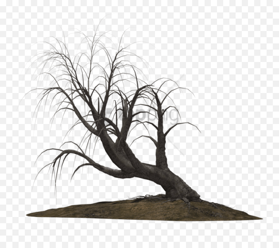 Wolverine041269 - Dry Trees Hd Png,Creepy Tree Png