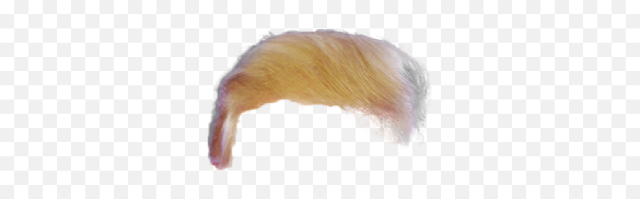 Trump Hair Transparent Png 6 Image - Sketch,Trump Transparent Background