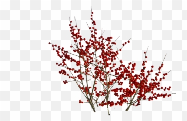Berry Bush Png Transparent Bushpng Images Pluspng - Red Berry Bush Png,Berries Png