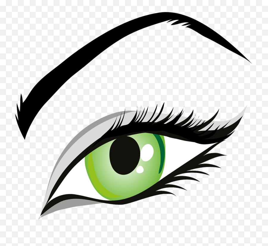 Eye Green Eyes Iris Eyelid Eyebrows Brows Seeing - Eye Eye Clip Art Png,Shiny Eyes Png