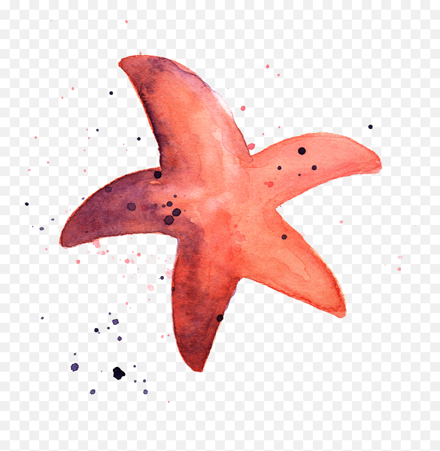 Size U003e 3000x3000 Pix Fish In The Ocean Png V06 Background - Starfish Tumblr Transparent,Sea Star Png