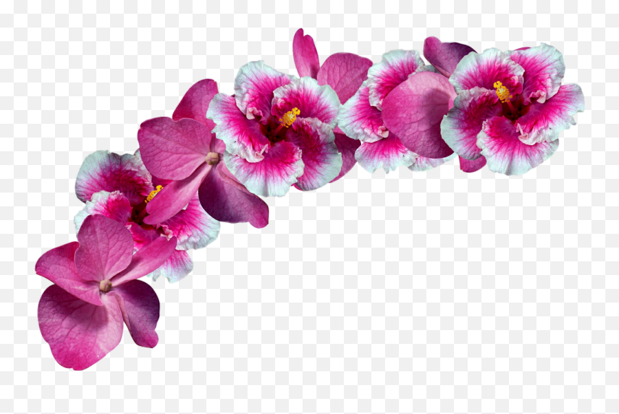 Flower Crowns Png Transparent Free For - Sakura Flower Crown Png,Flower Crown Transparent