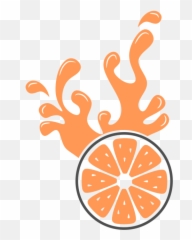 Fruit Logo Transparent Png - Orange Vector Logo,Fruit Logo
