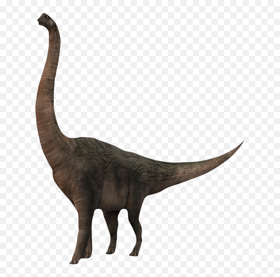 Verde, Jurassic, Desenhos Animados PNG, Vector De Dinossauros De Pescoço  Longo Imagens Vetoriais, Arquivos PSD - Pngtree