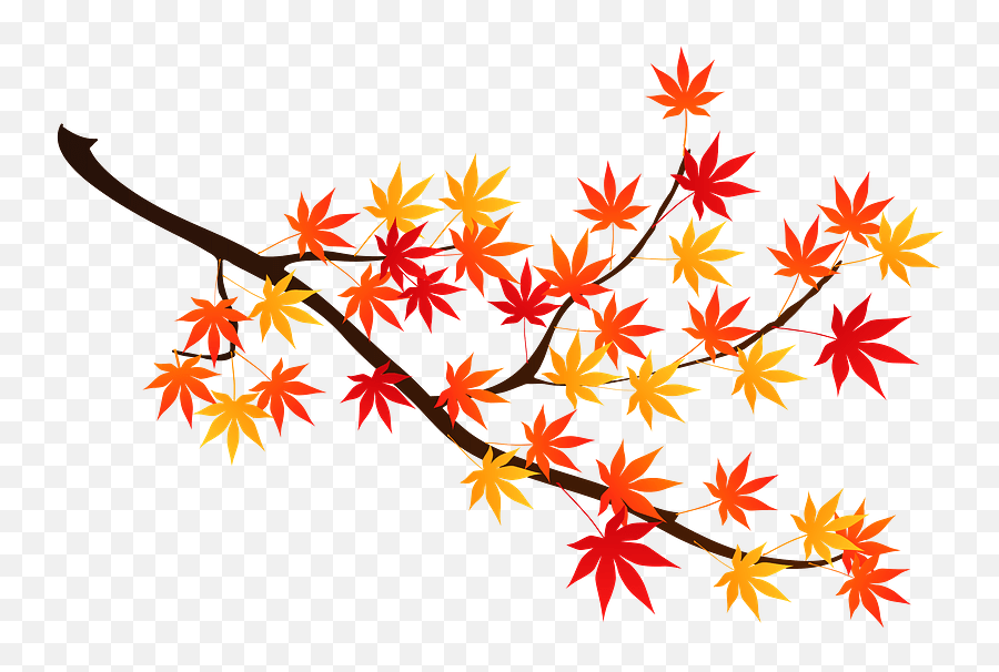 Maple Autumn Leaves Clipart - Transparent Leaves Clipart Fall Png,Autumn Leaves Transparent