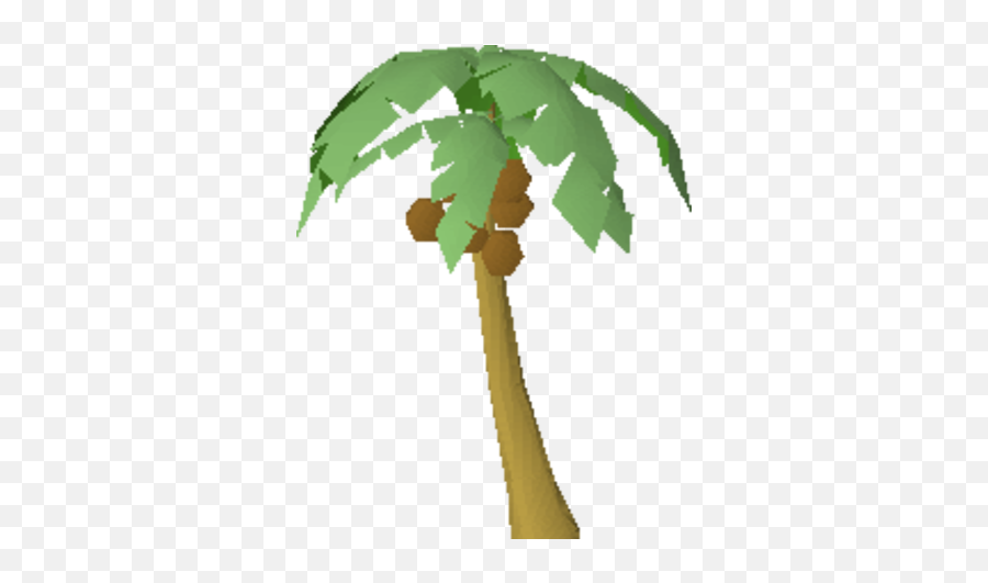 Palm Tree Old School Runescape Wiki Fandom - Fresh Png,Palm Tree Png Transparent