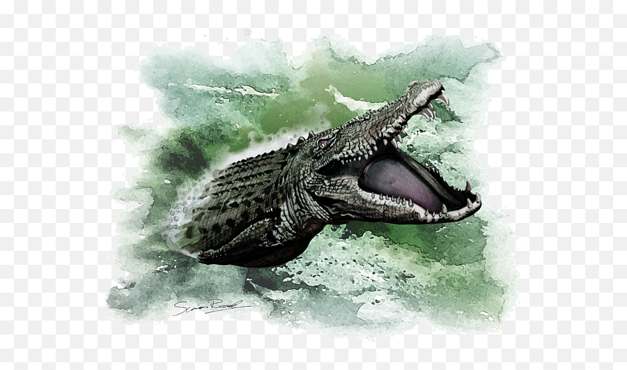Australian Saltwater Crocodile Spiral Notebook - Saltwater Crocodile Png,Crocodile Transparent