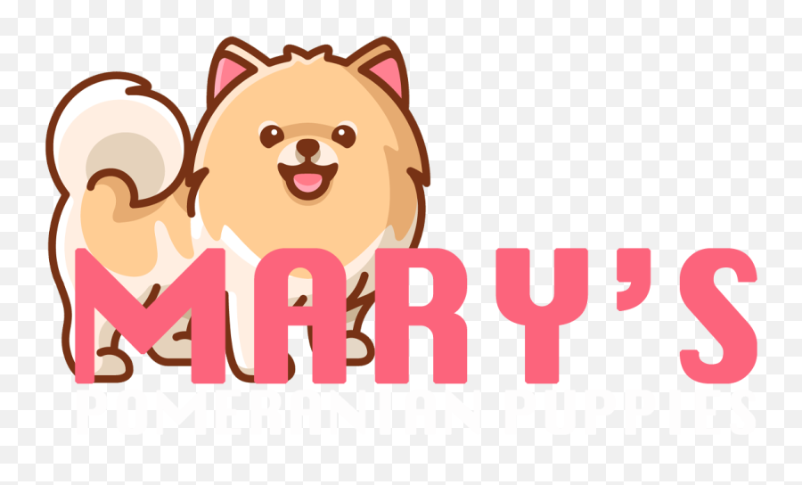 Maryu0027s Pomeranian Puppies U2013 Healthiest Joy Bringers - Happy Png,Pomeranian Png