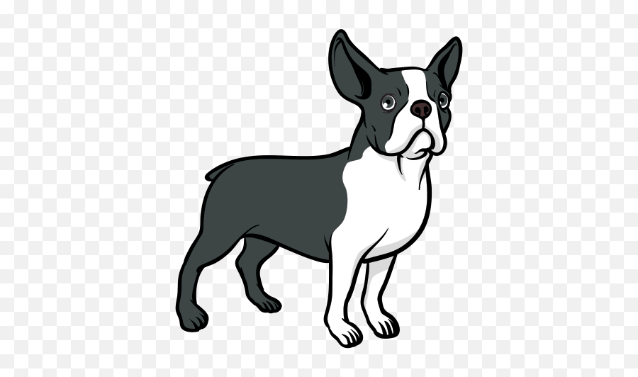 Printed Vinyl Dog Boston Terrier - Dibujos De Perros De Bulldog Frances Png,Boston Terrier Png