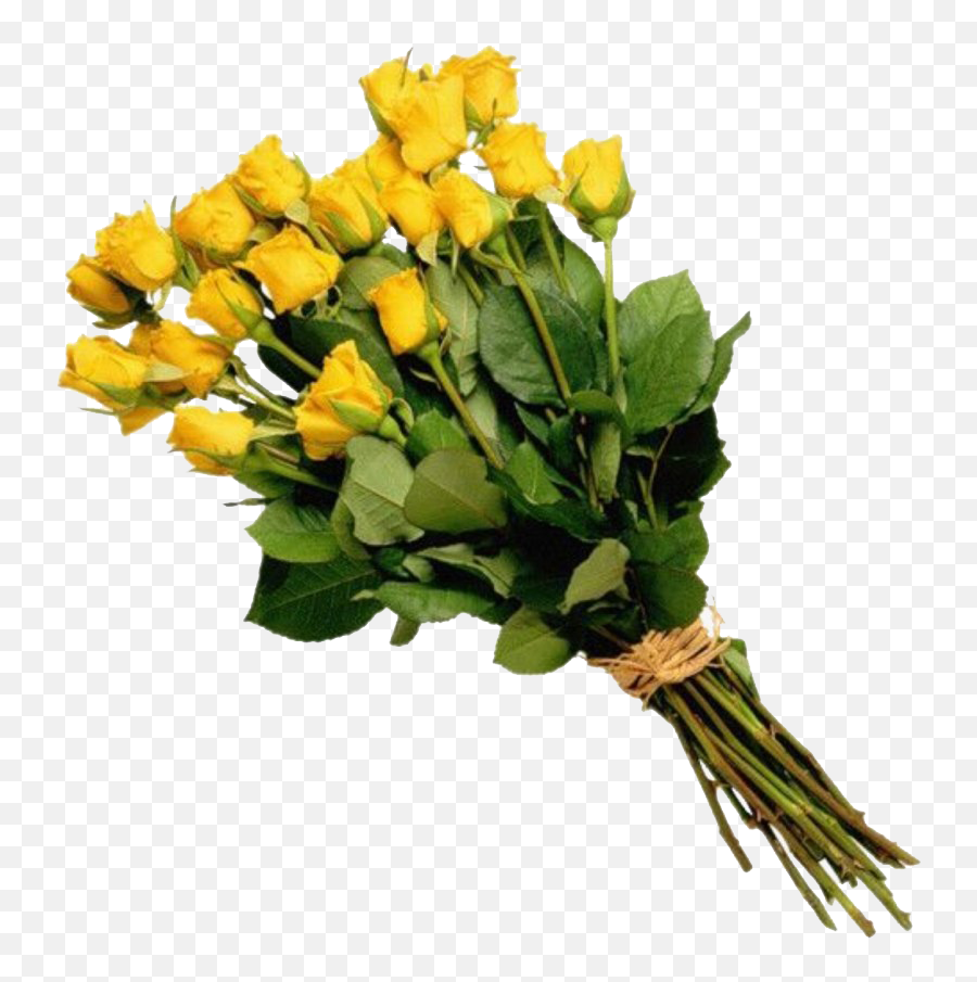 Rose Bouquet Png Free Download - Flower Bouquet Png,Flower Stem Png