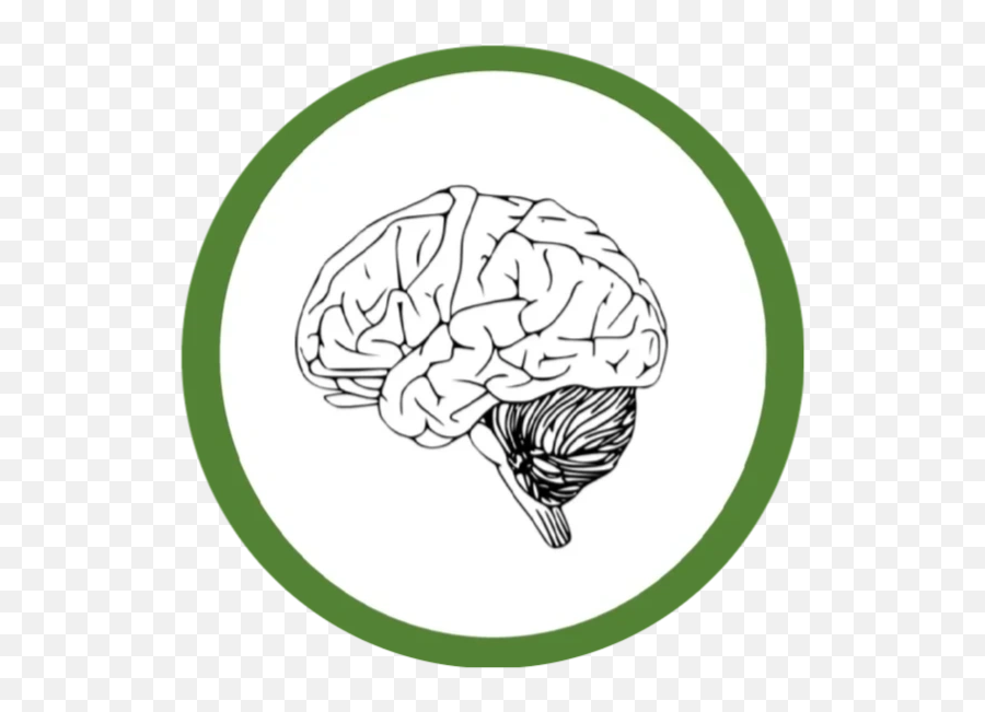 Neuropsychological Evaluation - Nh Neuropsychology Llc Transparent Brain Clipart Png,Psycho Icon