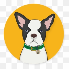 House Of Alchemy Llc Dba Cbd Dog Health Everyone Stay - Cbd Logo png