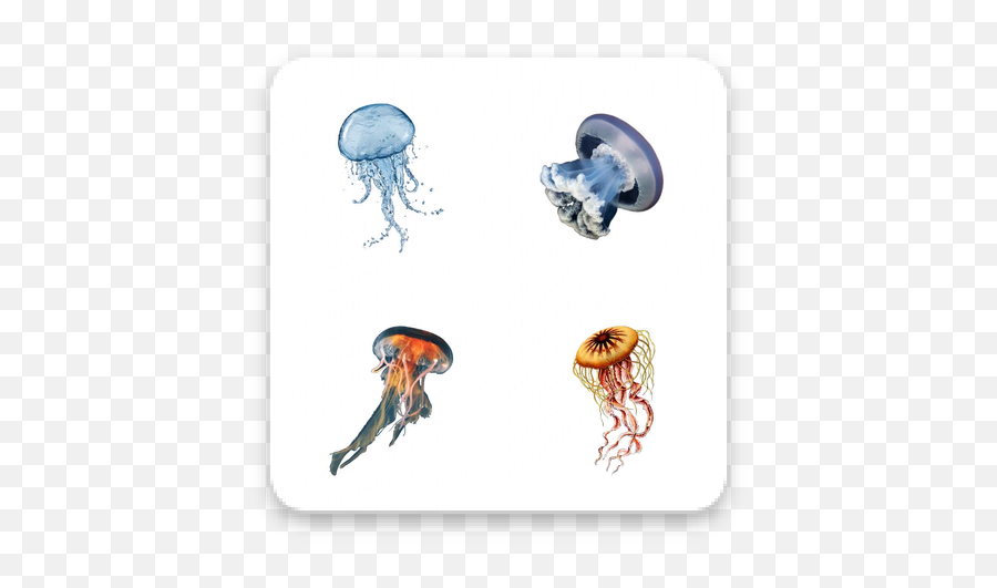 Download Jellyfish Wastickerapp Apk Free - Bioluminescence Png,Jellyfish Icon