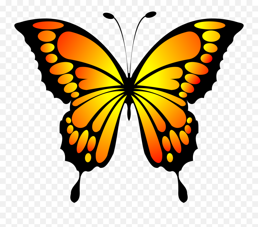 921de7e354 Exclusive Range So Cheap Swallowtail Butterfly - Yellow And Red Butterfly Png,Butterfly Tattoo Png