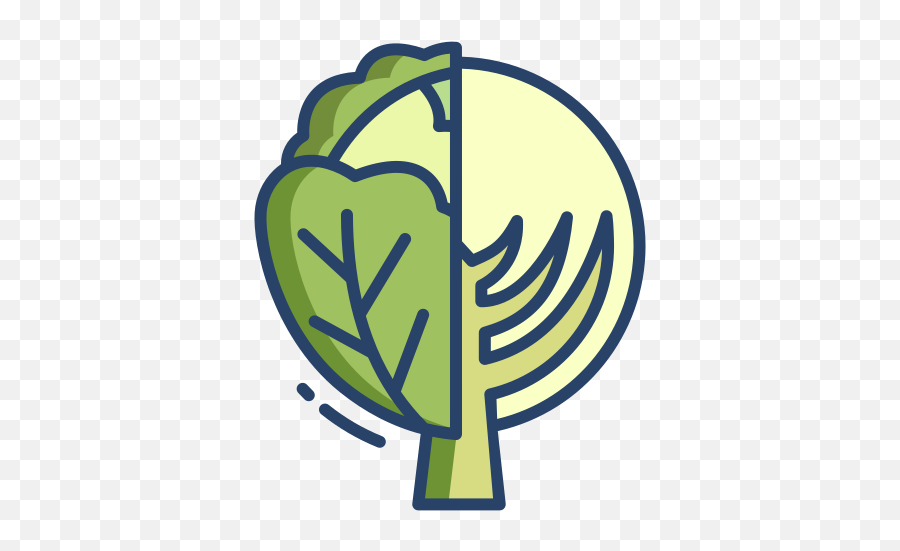 Cabbage - Free Food And Restaurant Icons Png,Cabbage Icon