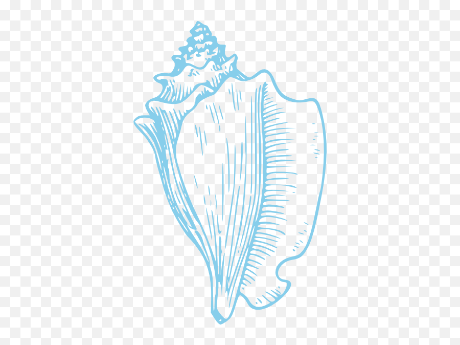 Download Sky Blue Conch Shell Clip Art Png