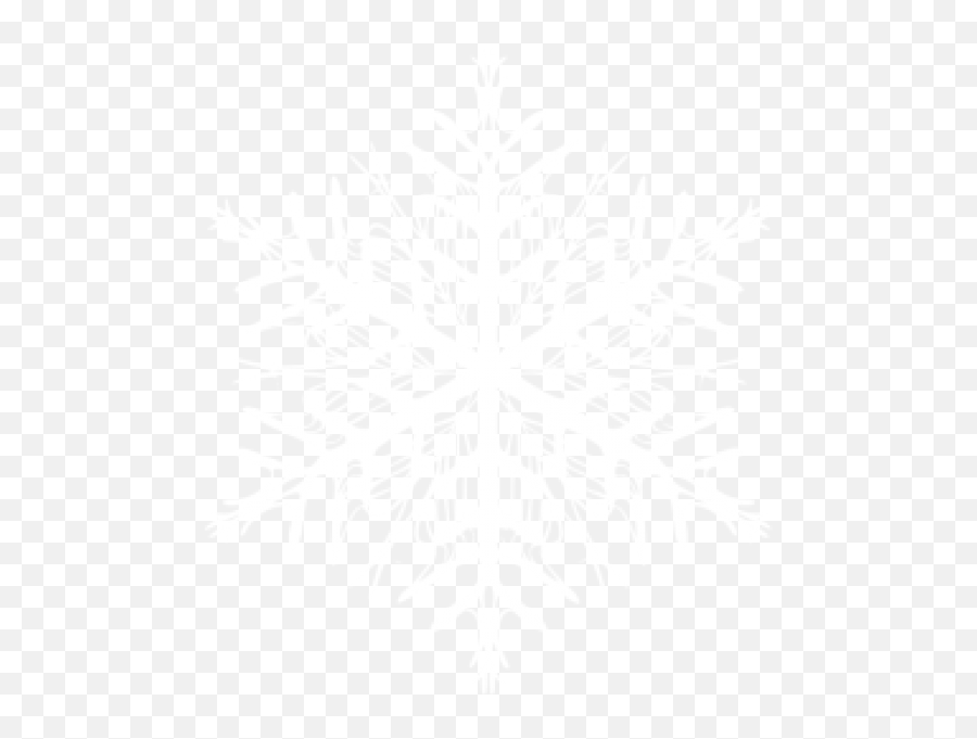 Snow Flakes Png Free Download 43 Images - Vector Graphics,Snow Flakes Png